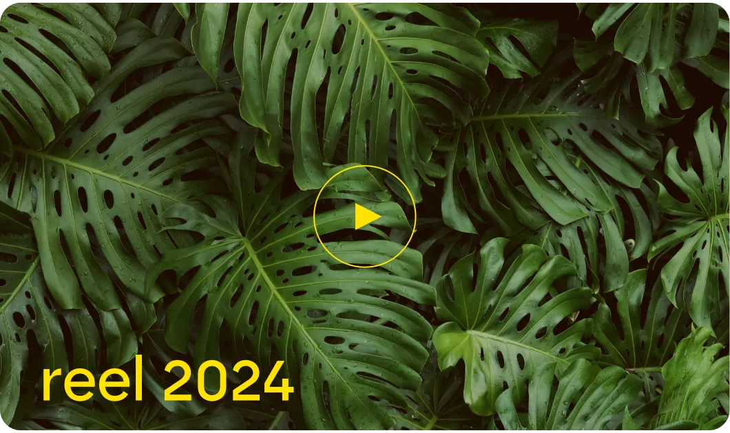 staycreative reel