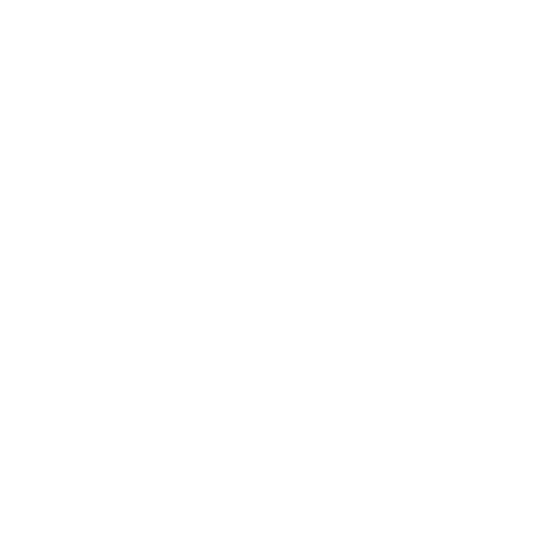 Special Kudos Award